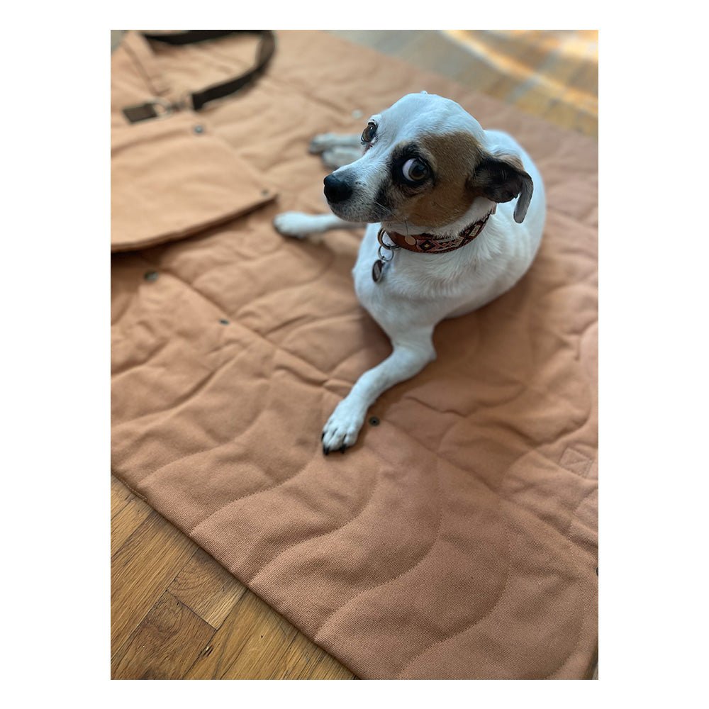 Convertible Dog Bag - Portable Travel Mat Bag for Pet Owners Tilley + Me