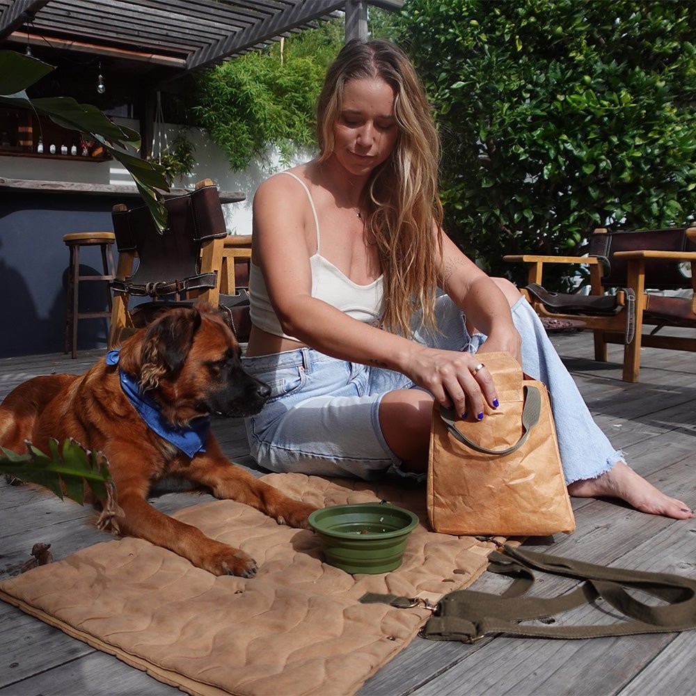 Convertible Dog Bag - Portable Travel Mat Bag for Pet Owners Tilley + Me