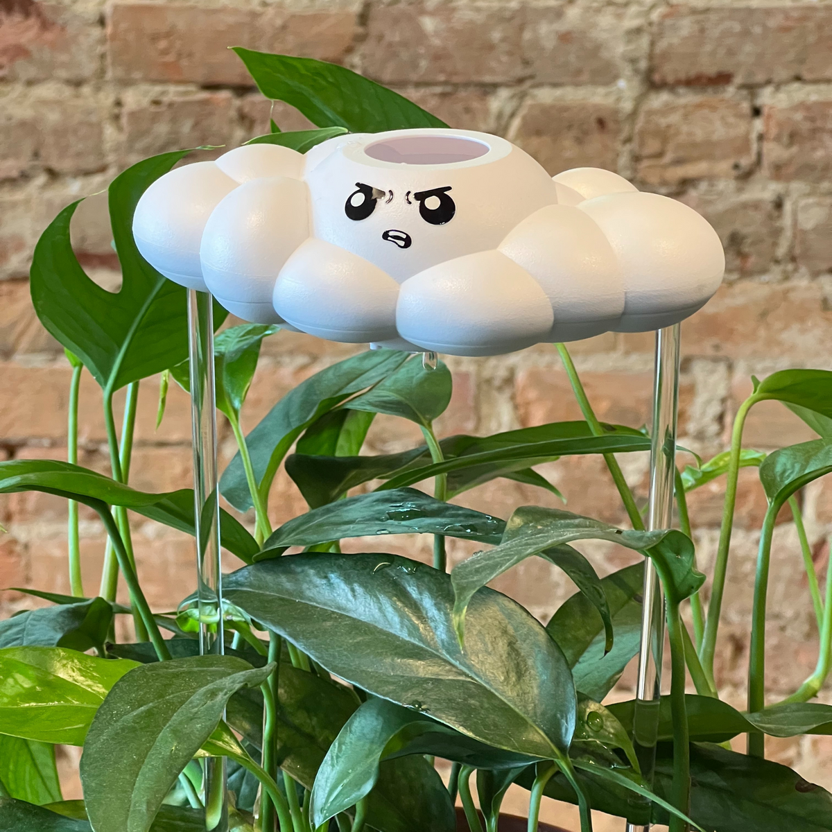 Cliff the Cloud The Cloud Makers
