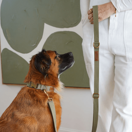 Hemp Cotton Dog Leash - Durable, Sustainable, Adjustable, Lightweight & Soft Tilley + Me