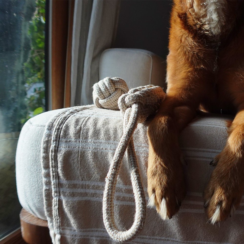 Indestructible Hemp Rope Tug Toy - Sustainable and Non-Toxic Pet Toy Tilley + Me