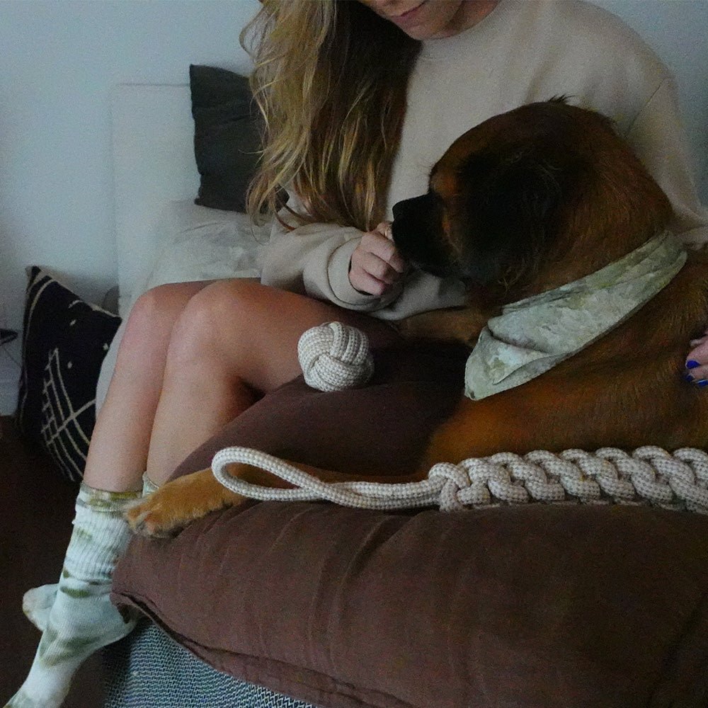 Indestructible Hemp Rope Tug Toy - Sustainable and Non-Toxic Pet Toy Tilley + Me