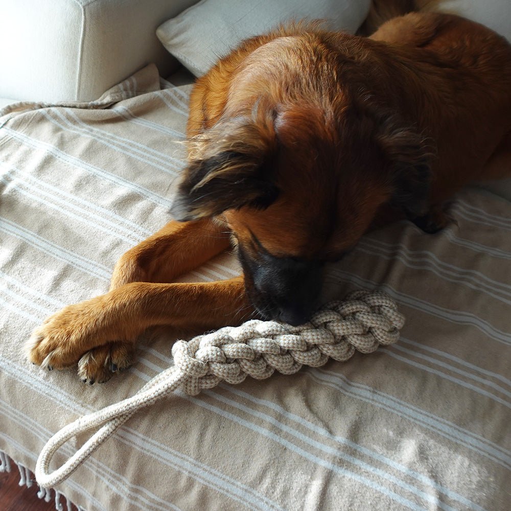 Indestructible Hemp Rope Tug Toy - Sustainable and Non-Toxic Pet Toy Tilley + Me