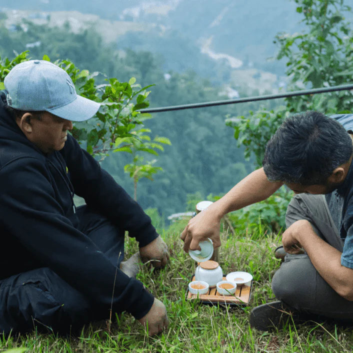 Himalayan Mist (Special Green Tea) - 15 Pyramid Tea Bags Nepal Tea