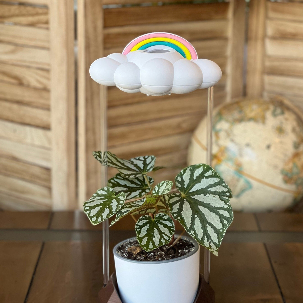 Original Dripping Rain Cloud with Pastel Rainbow Charm The Cloud Makers