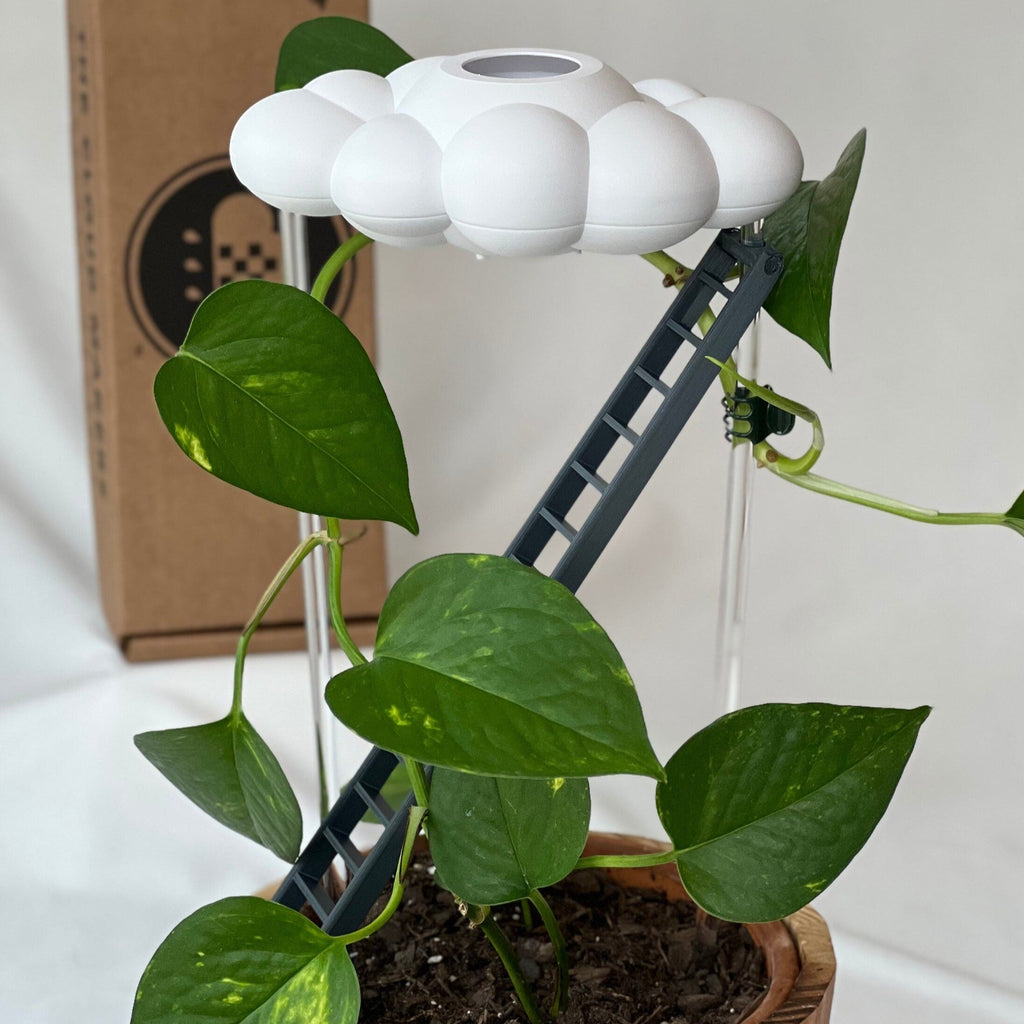 Original Dripping Rain Cloud with Ladder Charm The Cloud Makers