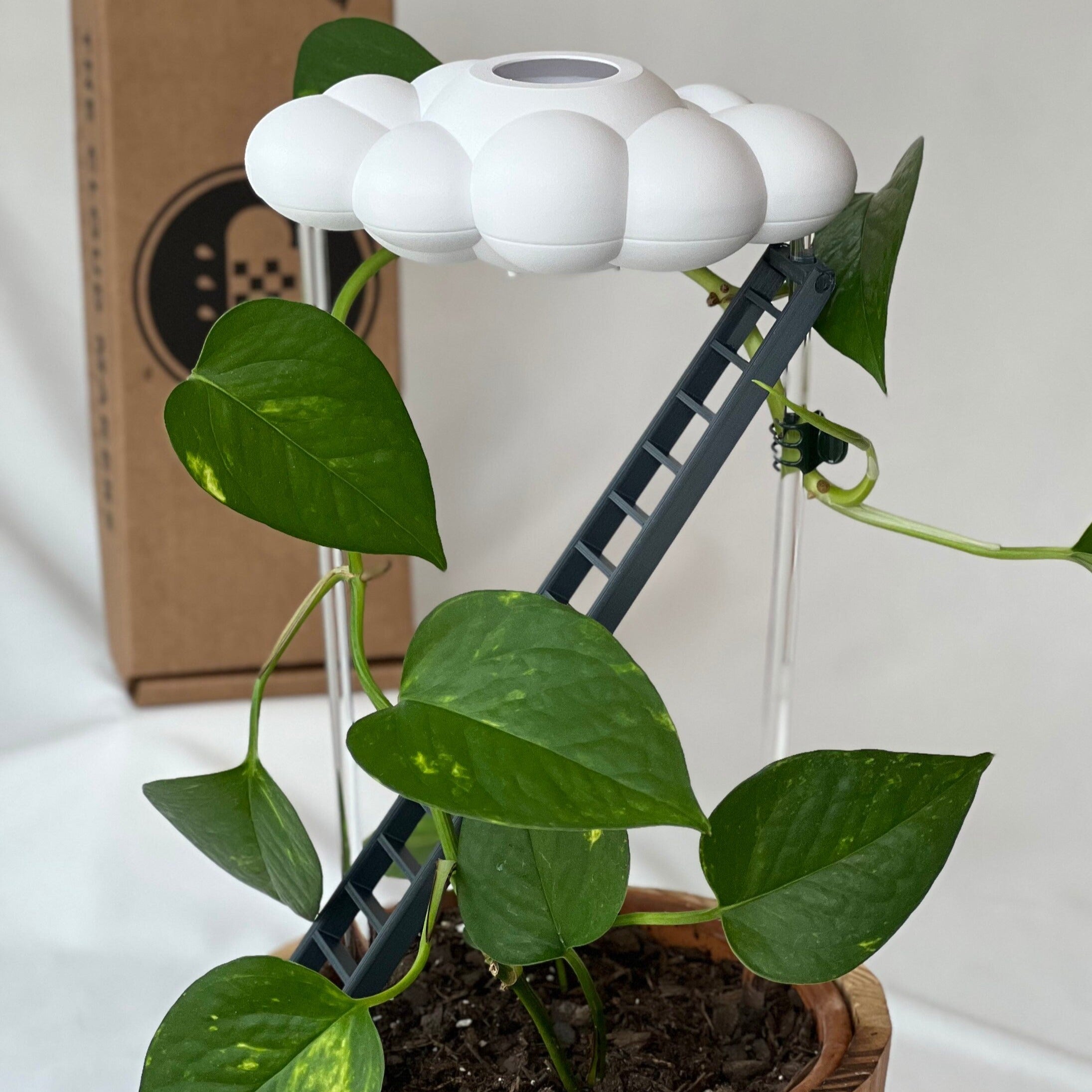 Original Dripping Rain Cloud with Ladder Charm The Cloud Makers