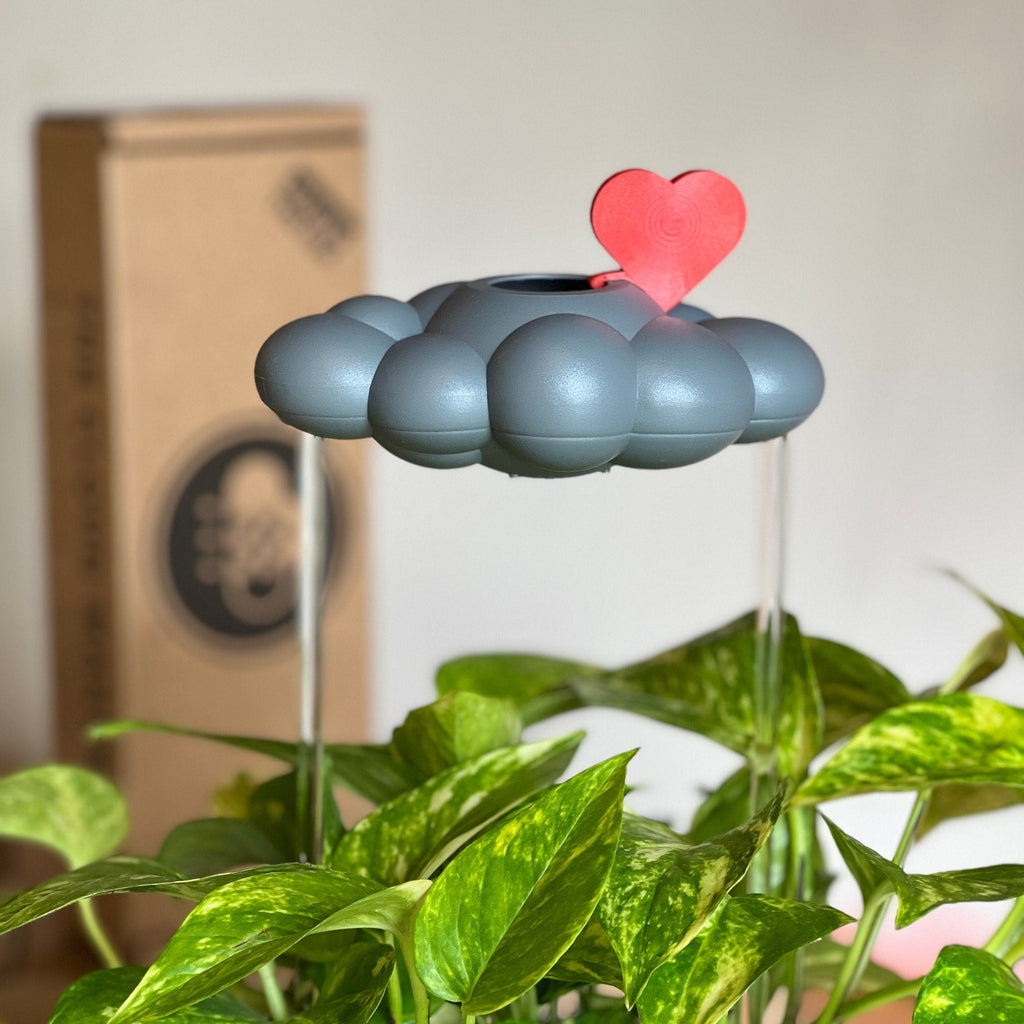Stormy Dripping Rain Cloud with Red Heart Charm The Cloud Makers