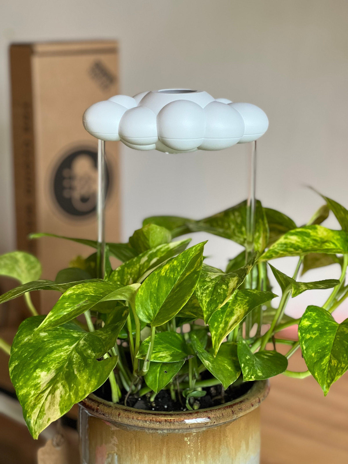 Original Dripping Rain Cloud The Cloud Makers