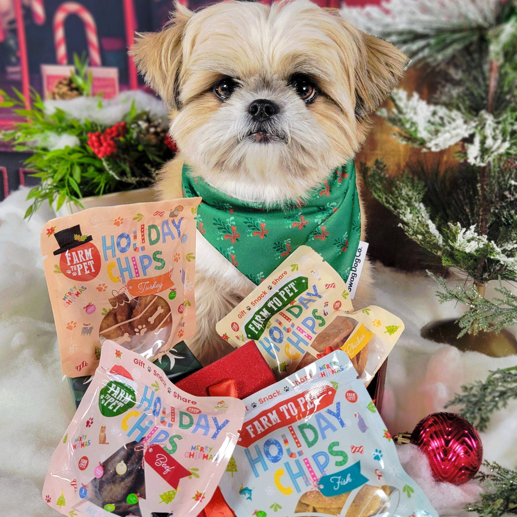 Seasons Treatings Dog Treats & Accessory Box Farm To Pet