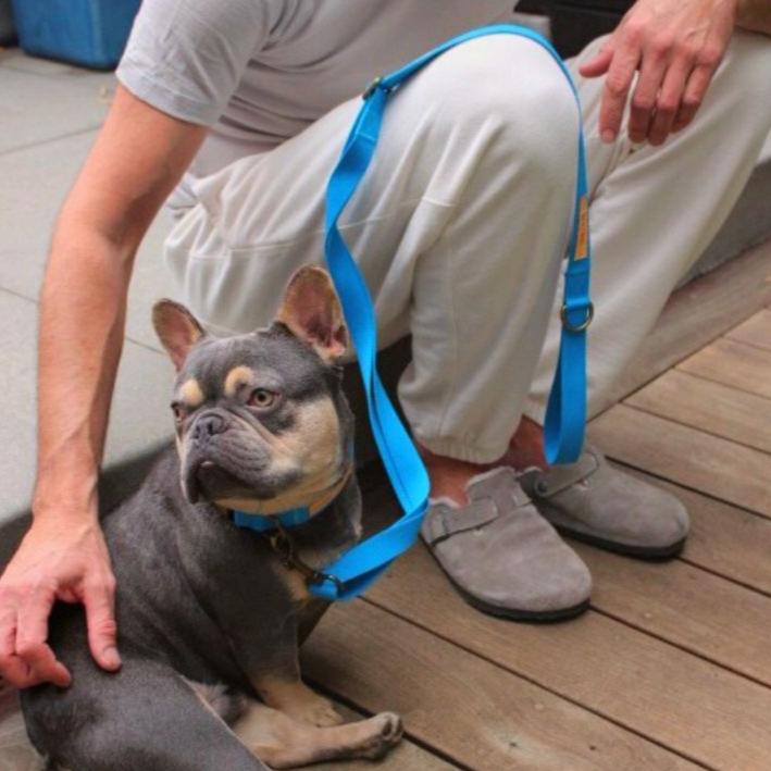 Hemp Cotton Dog Leash - Durable, Sustainable, Adjustable, Lightweight & Soft Tilley + Me