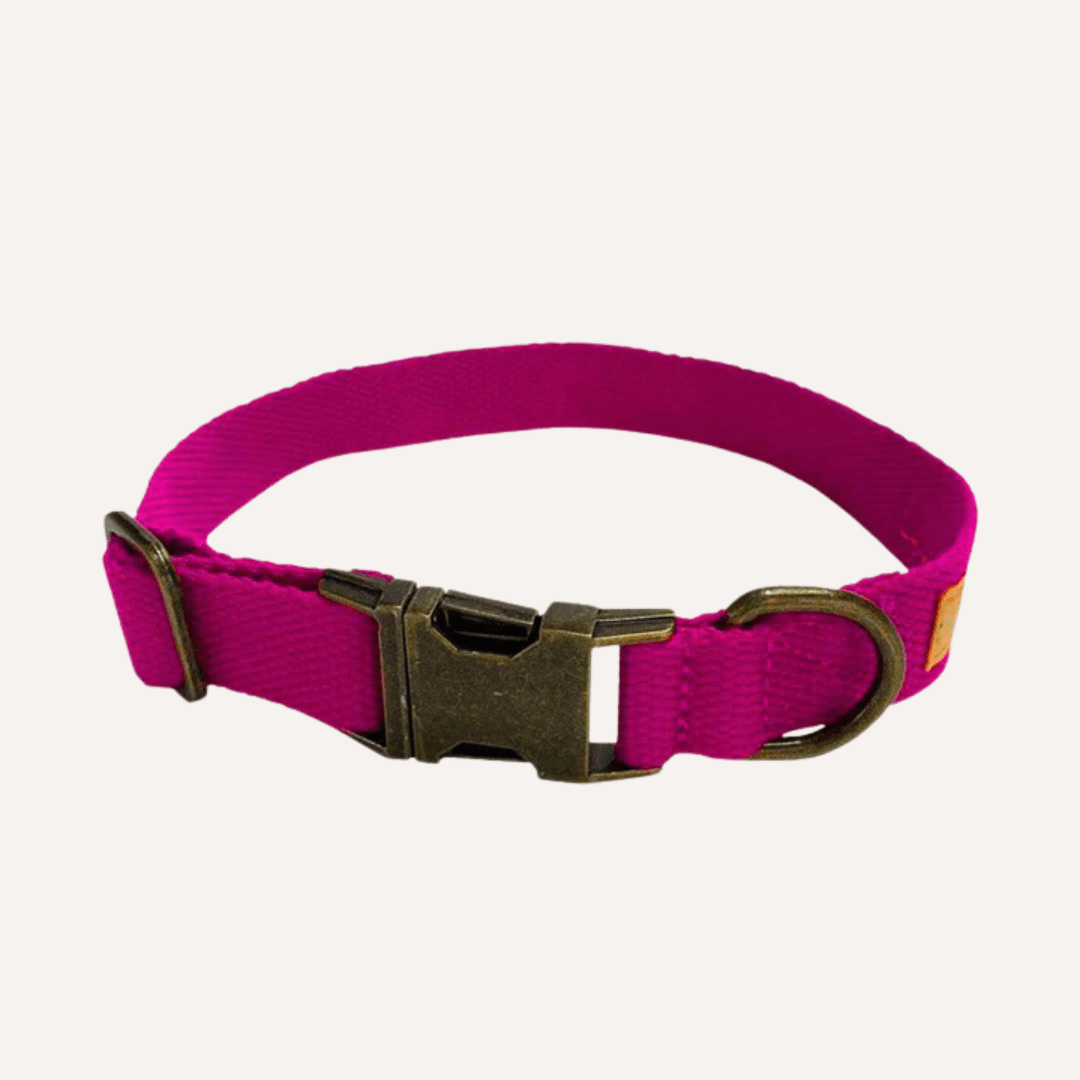 Hemp Cotton Dog Collar - Durable, Sustainable, Adjustable, Lightweight & Soft Tilley + Me