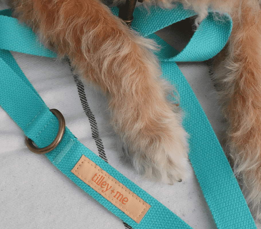 Hemp Cotton Dog Leash - Durable, Sustainable, Adjustable, Lightweight & Soft Tilley + Me