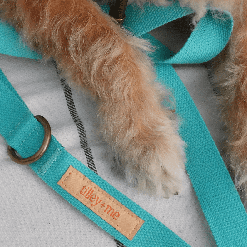 Hemp Cotton Dog Collar - Durable, Sustainable, Adjustable, Lightweight & Soft Tilley + Me