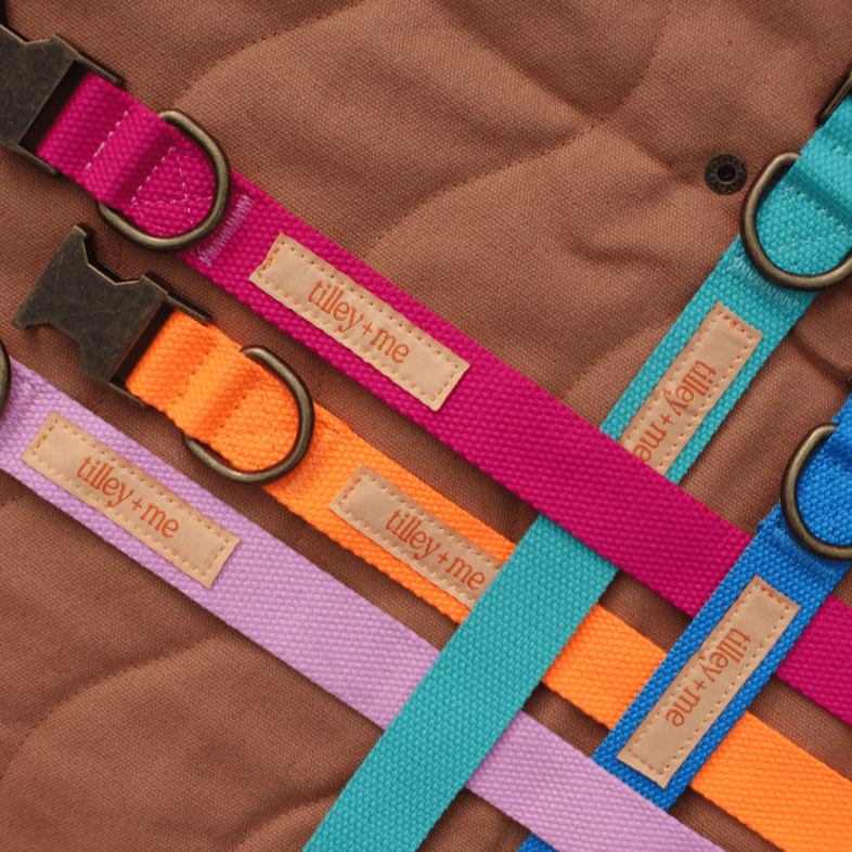 Hemp Cotton Dog Collar - Durable, Sustainable, Adjustable, Lightweight & Soft Tilley + Me