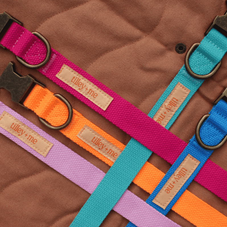 Hemp Cotton Dog Leash - Durable, Sustainable, Adjustable, Lightweight & Soft Tilley + Me
