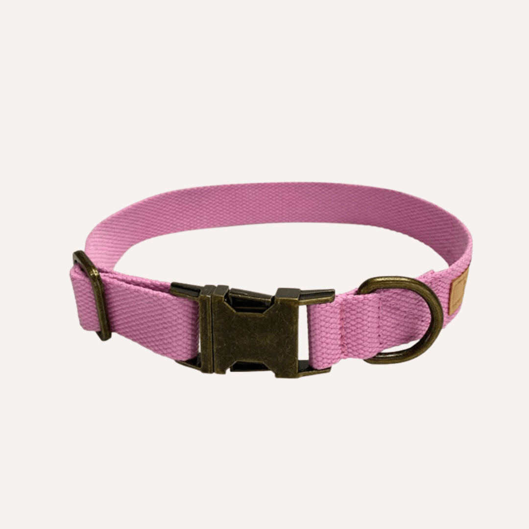 Hemp Cotton Dog Collar - Durable, Sustainable, Adjustable, Lightweight & Soft Tilley + Me