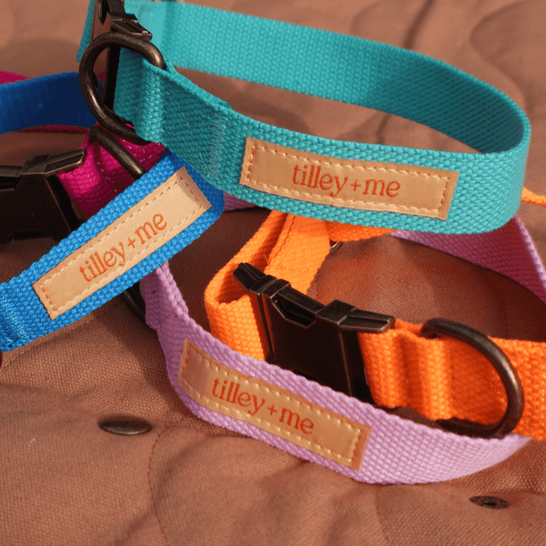 Hemp Cotton Dog Collar - Durable, Sustainable, Adjustable, Lightweight & Soft Tilley + Me