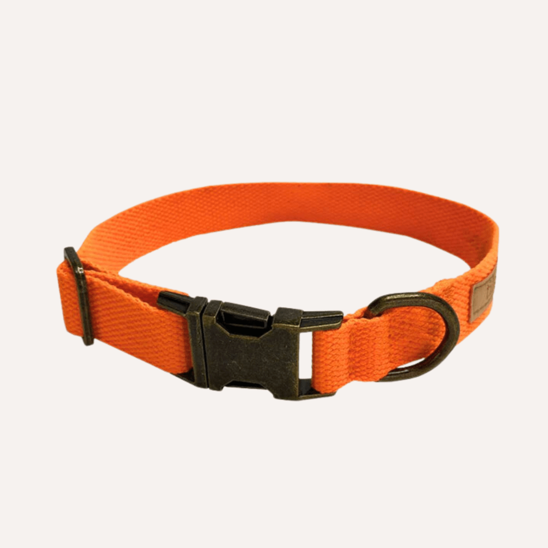 Hemp Cotton Dog Collar - Durable, Sustainable, Adjustable, Lightweight & Soft Tilley + Me