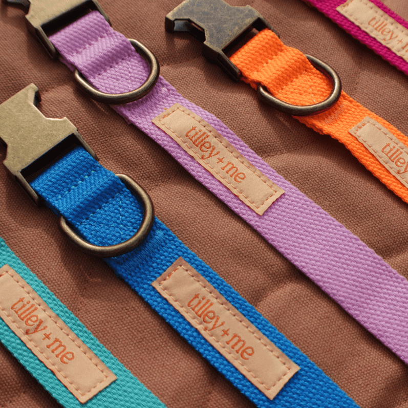 Hemp Cotton Dog Collar - Durable, Sustainable, Adjustable, Lightweight & Soft Tilley + Me