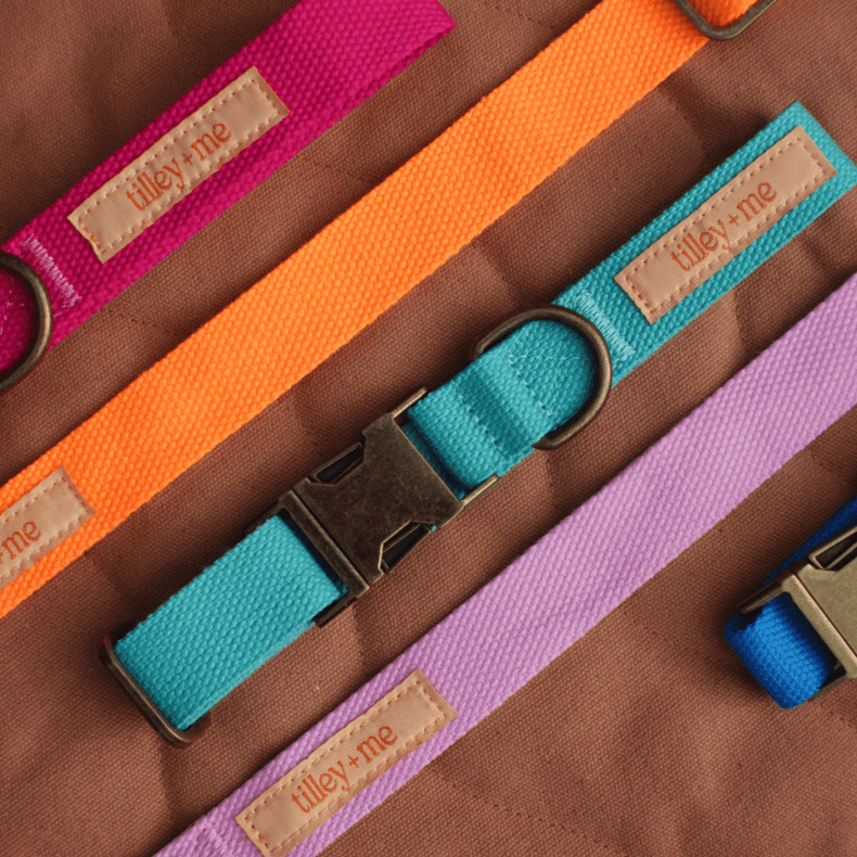 Hemp Cotton Dog Leash - Durable, Sustainable, Adjustable, Lightweight & Soft Tilley + Me