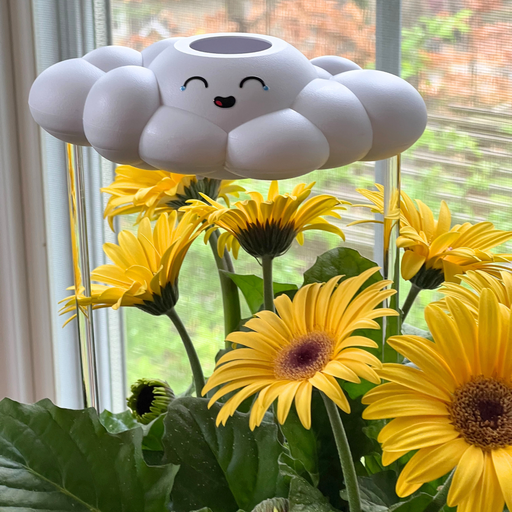 Misty the Cloud The Cloud Makers