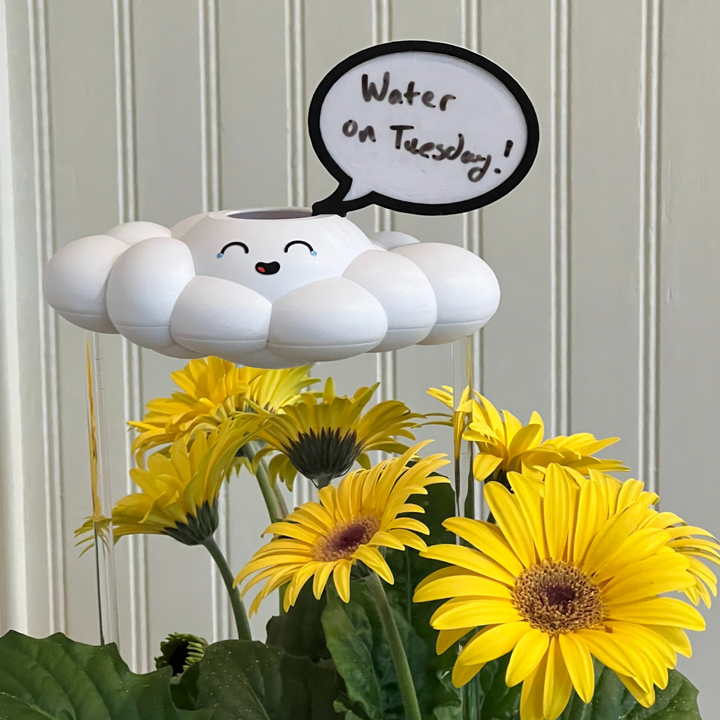Misty the Cloud The Cloud Makers