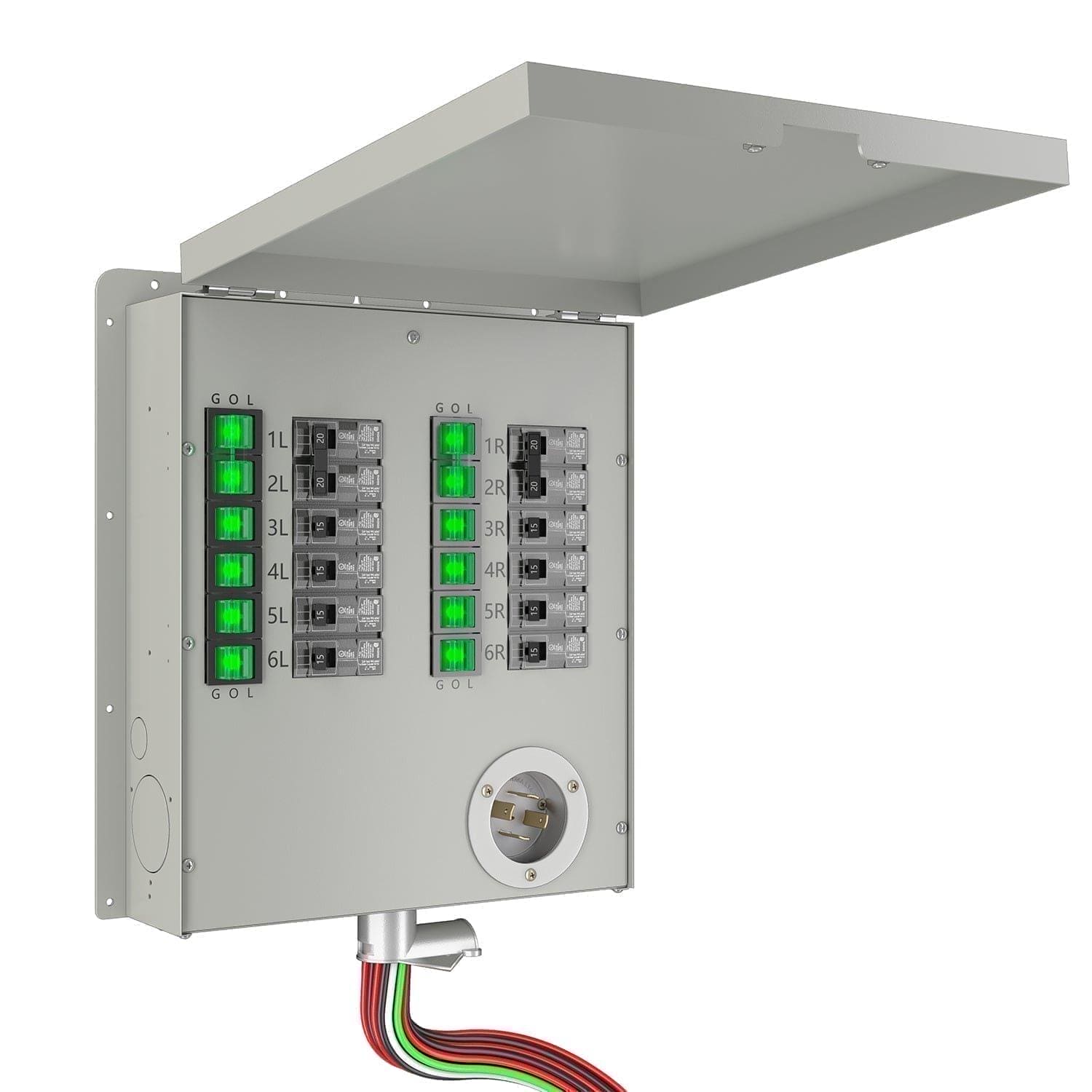 Nature's Generator 12-Circuit 120/240V 30A Non-Automatic Power Transfer Switch Nature's Generator