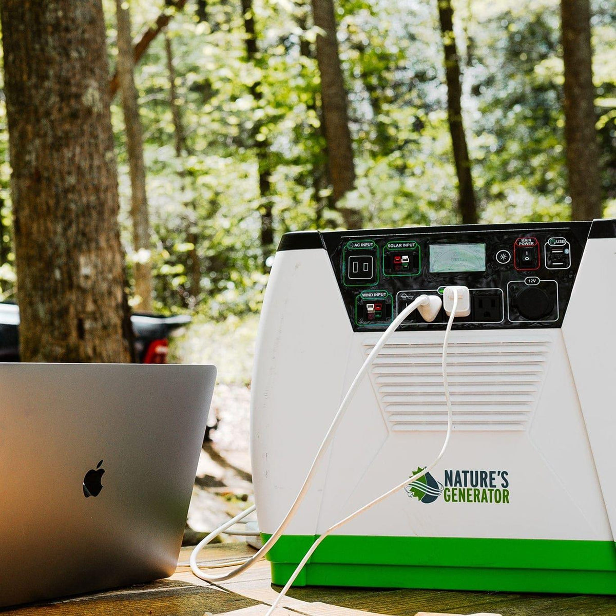 Nature's Generator Gold Essential Nature's Generator