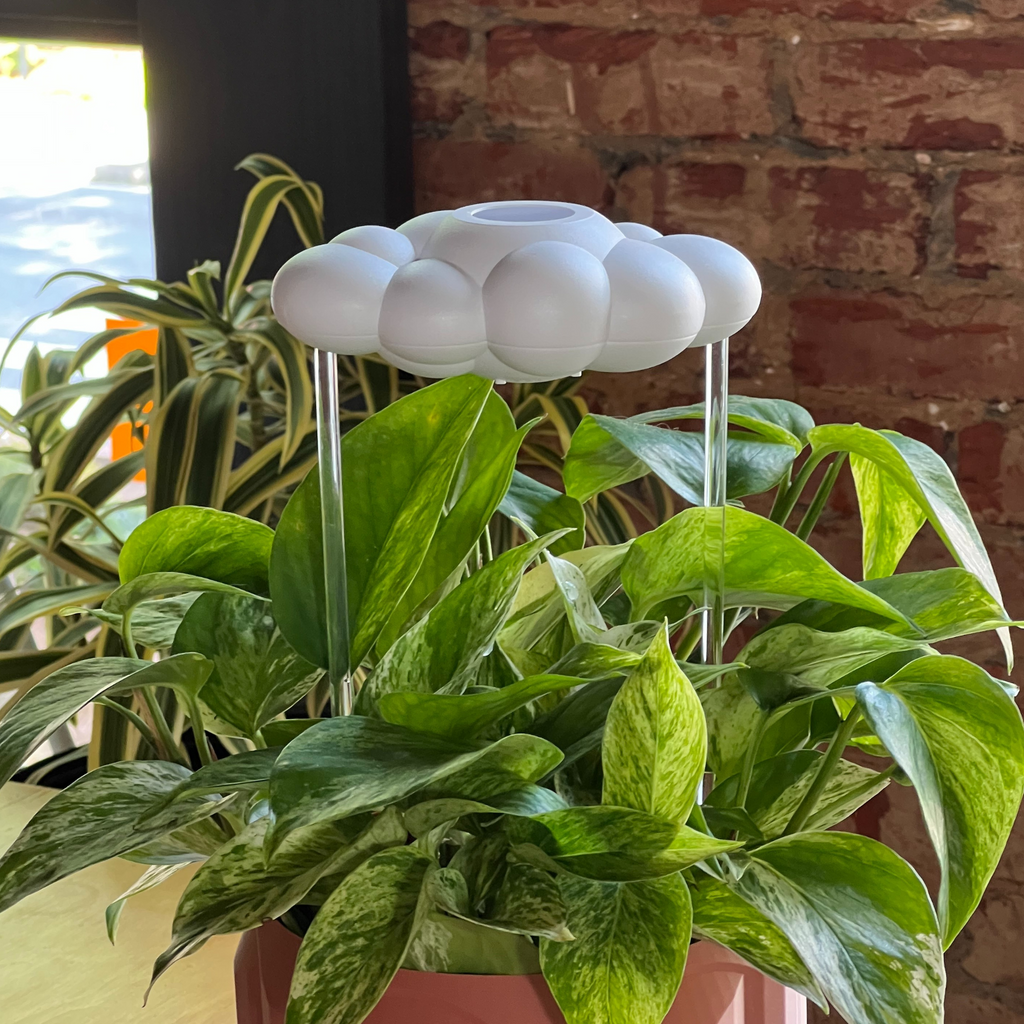 Original Dripping Rain Cloud The Cloud Makers
