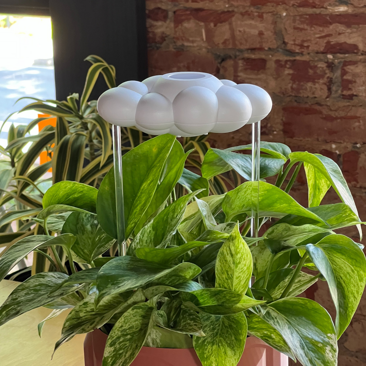 Original Dripping Rain Cloud The Cloud Makers