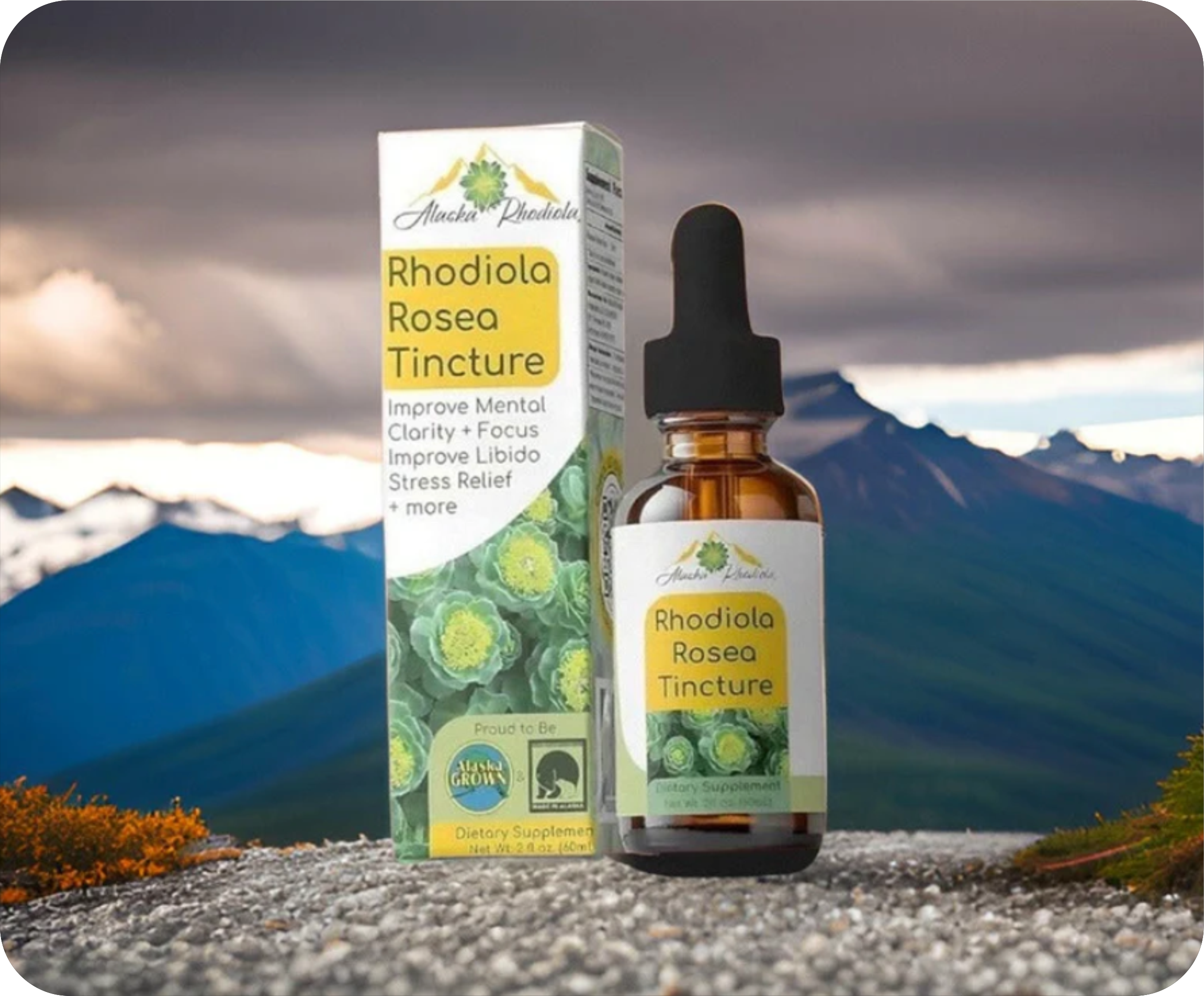 Rhodiola Rosea Tincture – Natural Stress & Energy Support (2 oz) Alaska Rhodiola