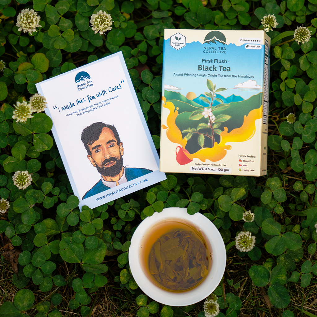 First Flush Black Tea Nepal Tea