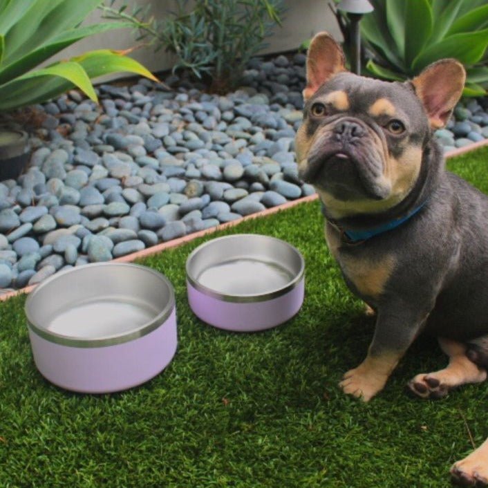 Stainless Steel Pet Bowl – Non-Slip, Durable & Dishwasher Safe | 32oz and 64oz Tilley + Me