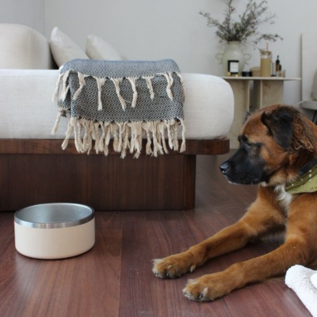 Stainless Steel Pet Bowl – Non-Slip, Durable & Dishwasher Safe | 32oz and 64oz Tilley + Me