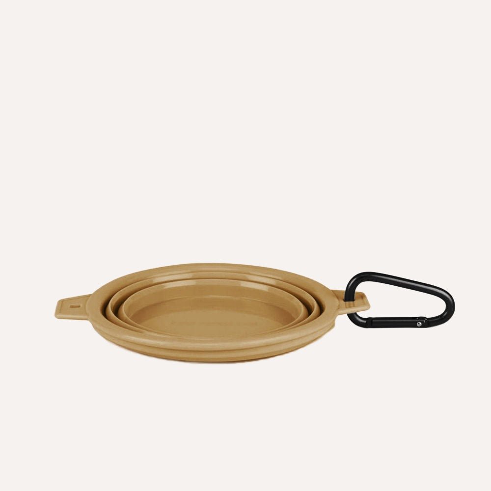 Collapsible Pet Bowl with Clip – Compact, Reusable and Easy to Clean Tilley + Me