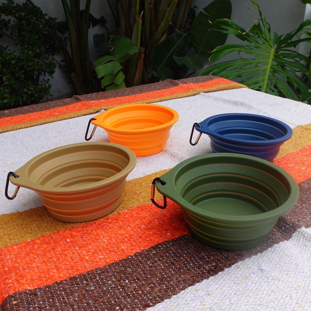 Collapsible Pet Bowl with Clip – Compact, Reusable and Easy to Clean Tilley + Me
