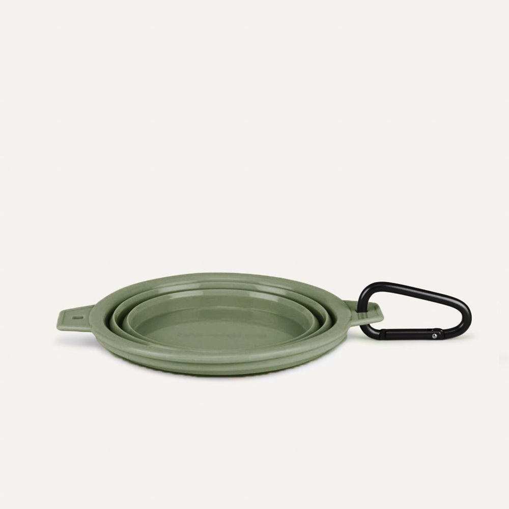 Collapsible Pet Bowl with Clip – Compact, Reusable and Easy to Clean Tilley + Me