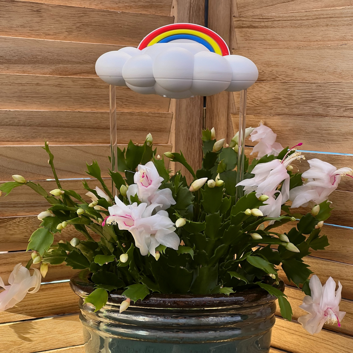Original Dripping Rain Cloud with Rainbow Charm The Cloud Makers